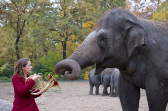 Sarah Willis mit Elefant